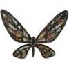 Tim Holtz / Sizzix Die - Bigz / Fanciful Flight