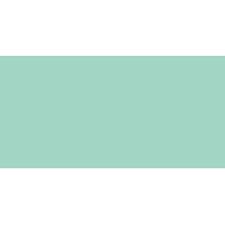 ZIG Memory Writer CHALK - Green