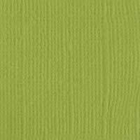 Bazzill Karton 12x12" - Parakeet
