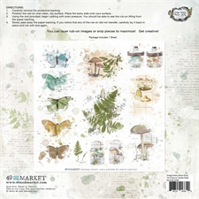 49 and Market - Nature Study Rub-ons 12x12"