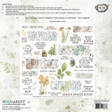 49 and Market - Nature Study Rub-ons 12x12" / Sentiments