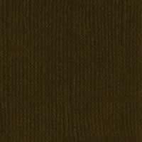 Bazzill Karton 12x12" - Pinecone