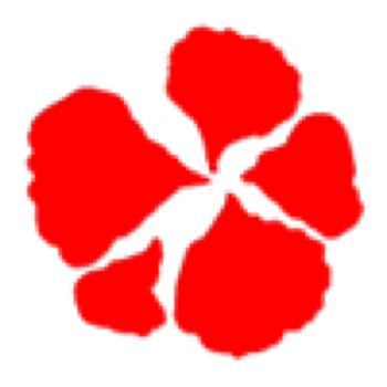 Punch - Begonia Petals (M)