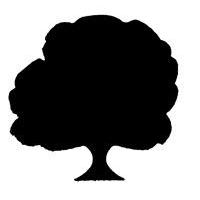 Punch - Leone's Tree (XL)