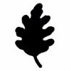 Punch - White Oak (L)