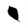 Punch - Chestnut Leaf (M)