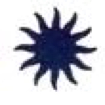 Punch - Sol (S)