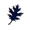 Punch - Egeblad / Oak (L)