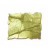 Distress Ink Flaske - Peeled Paint