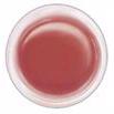 Perfect Pearls - Forever Red