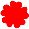 Punch - Blossom (L)