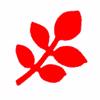 Punch - Ash Leaf (M)