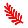 Punch - Fern (M)